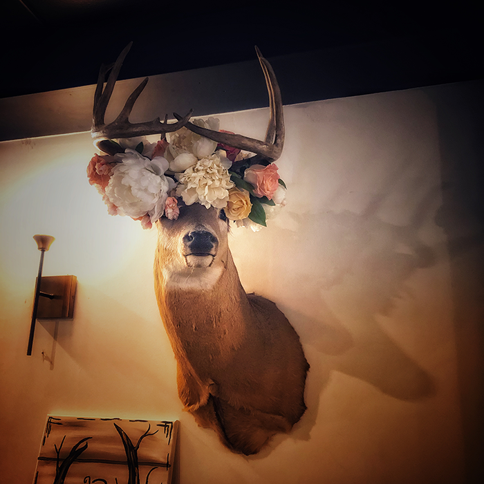 Mounted deer wearing a flower crown at The Northridge Inn and Resort